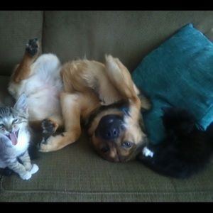 Meet your Posher, Elizabeth